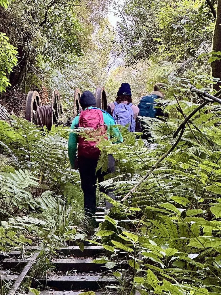 Walkers ascending to the historic winch at the top of the May Queen Incline, Waiorongomai Valley