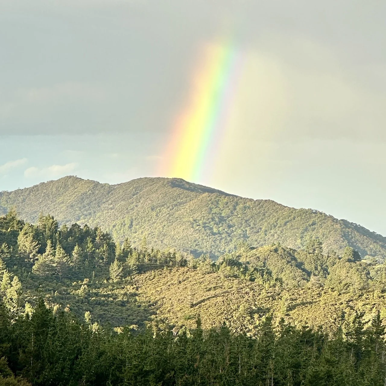 Rainbow over Shambhala