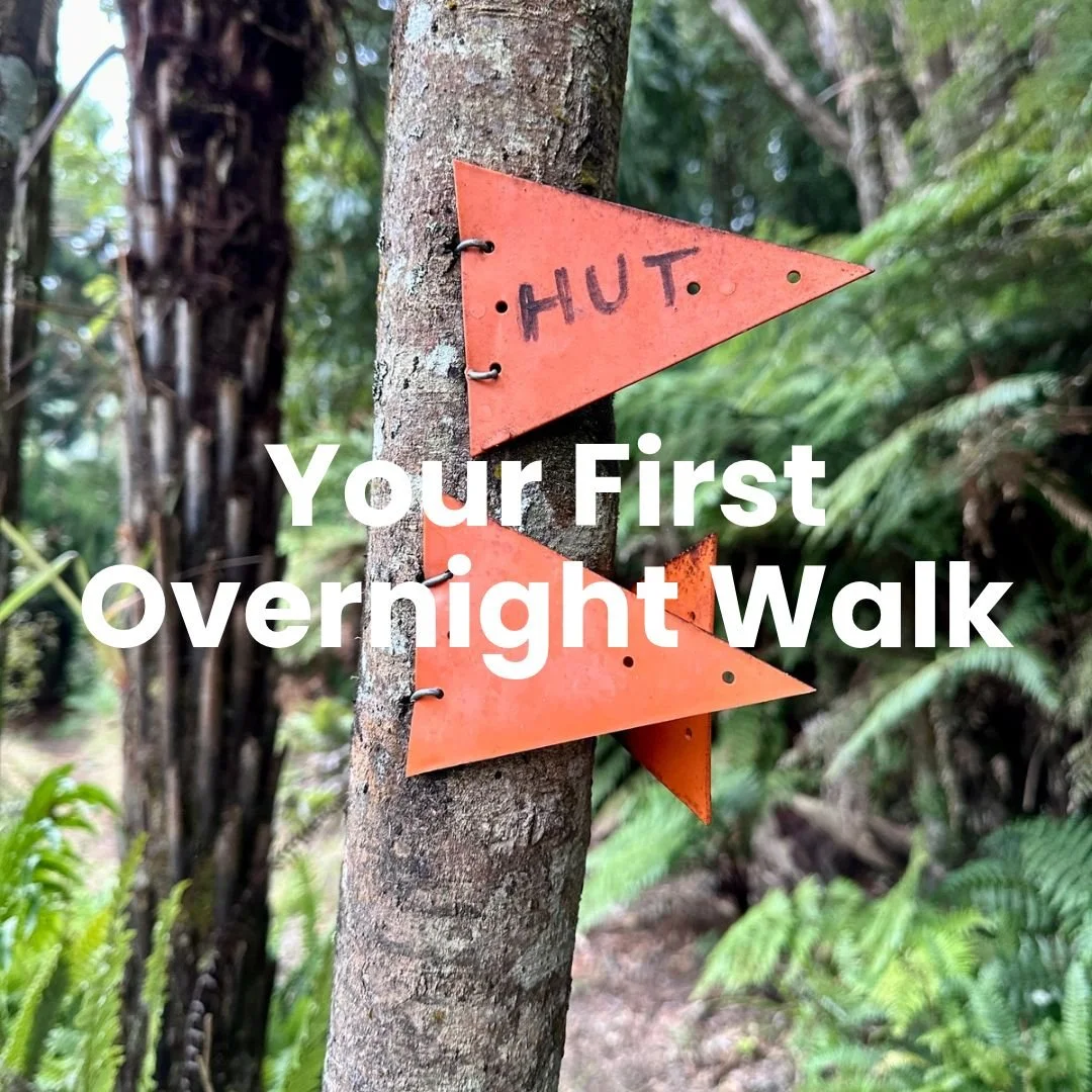 Bright orange DOC trail marker on tree