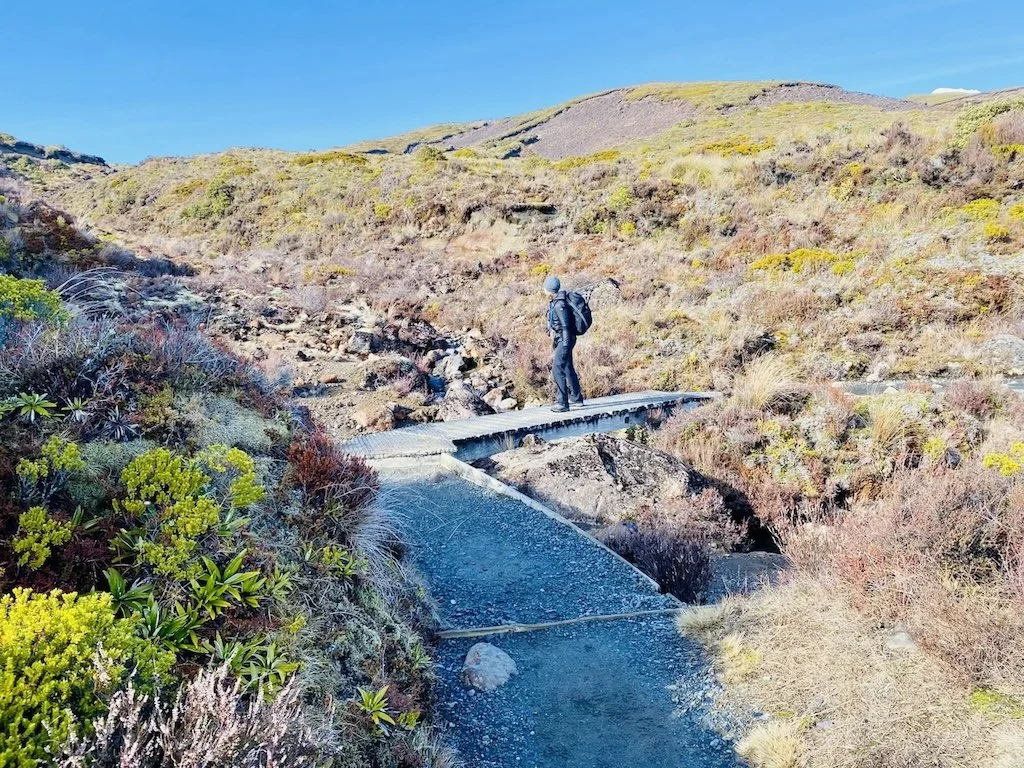 Hiker crossing boardwalk and surrounded my tussock, Tama Lakes Track