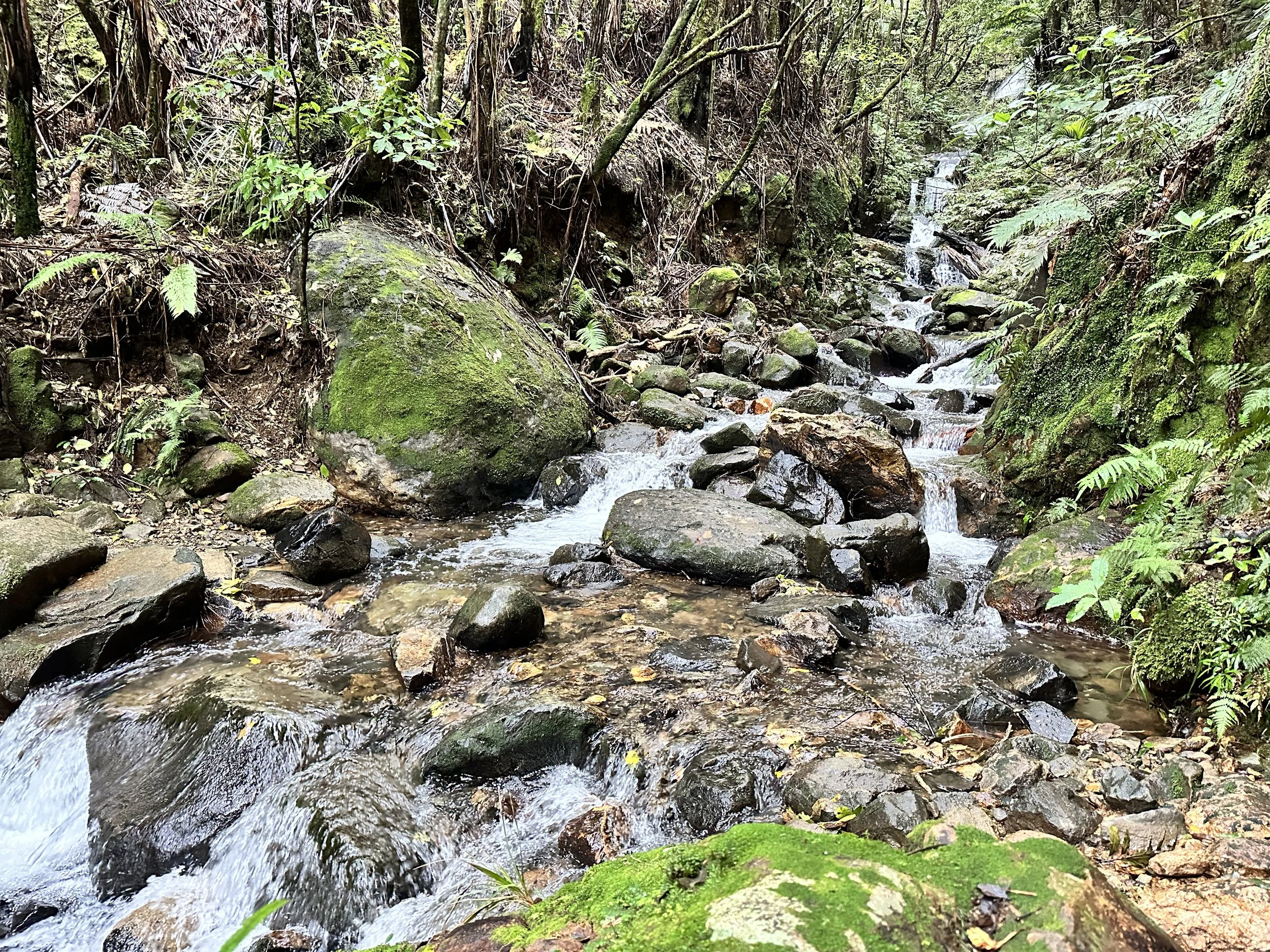 Winter streams, Waiorongomai Valley