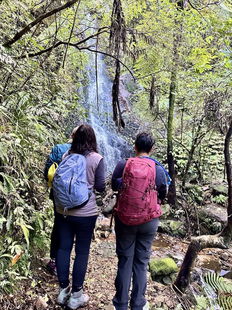 Walkers pausing to take in a waterfall on the Reset and Recharge Walk, Waiorongomai Valley