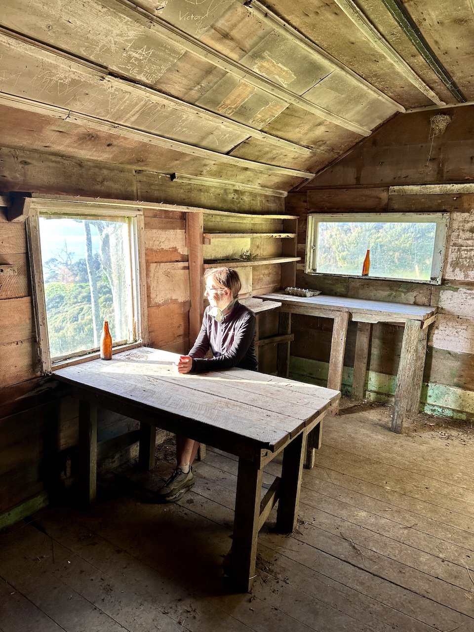 Sharon Evans sitting at a plank table inside a weathered timber shepherd's hut on the Coromandel Walkway, with small windows looking out over the bush and carved names on the ceiling boards.