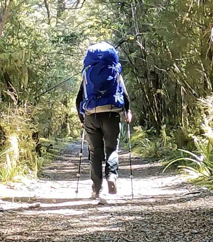 Hiker with a large blue backpack and trekking poles walking away along a forested section of the Milford Track.