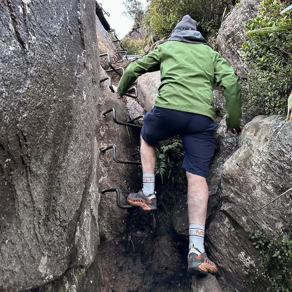 Hiker ascending the "staples" en route to the Pinnacles, Coromandel Conservation Park