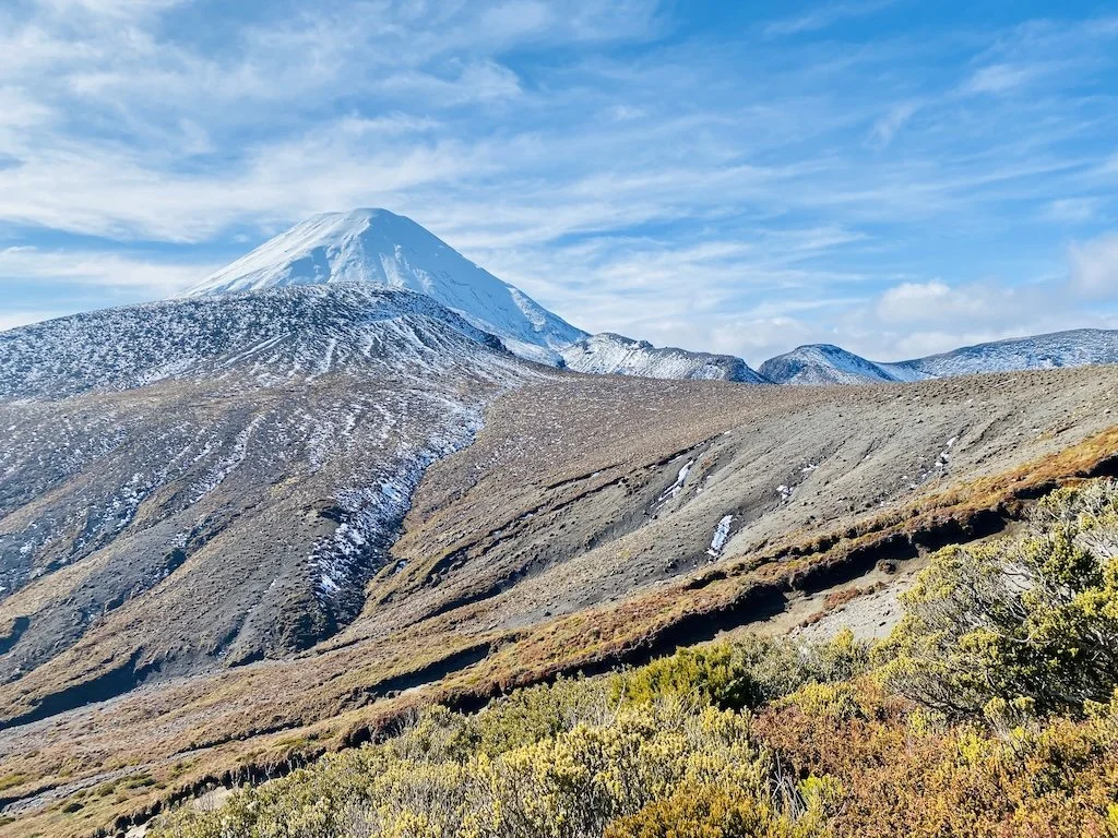 Alpine meadows and Mount Ngauruhoe