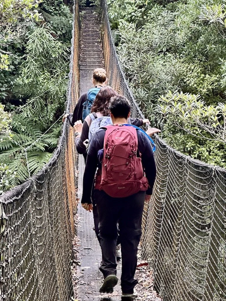 Walkers crossing the swingbridge on the Reset and Recharge Walk, Waiorongomai Valley