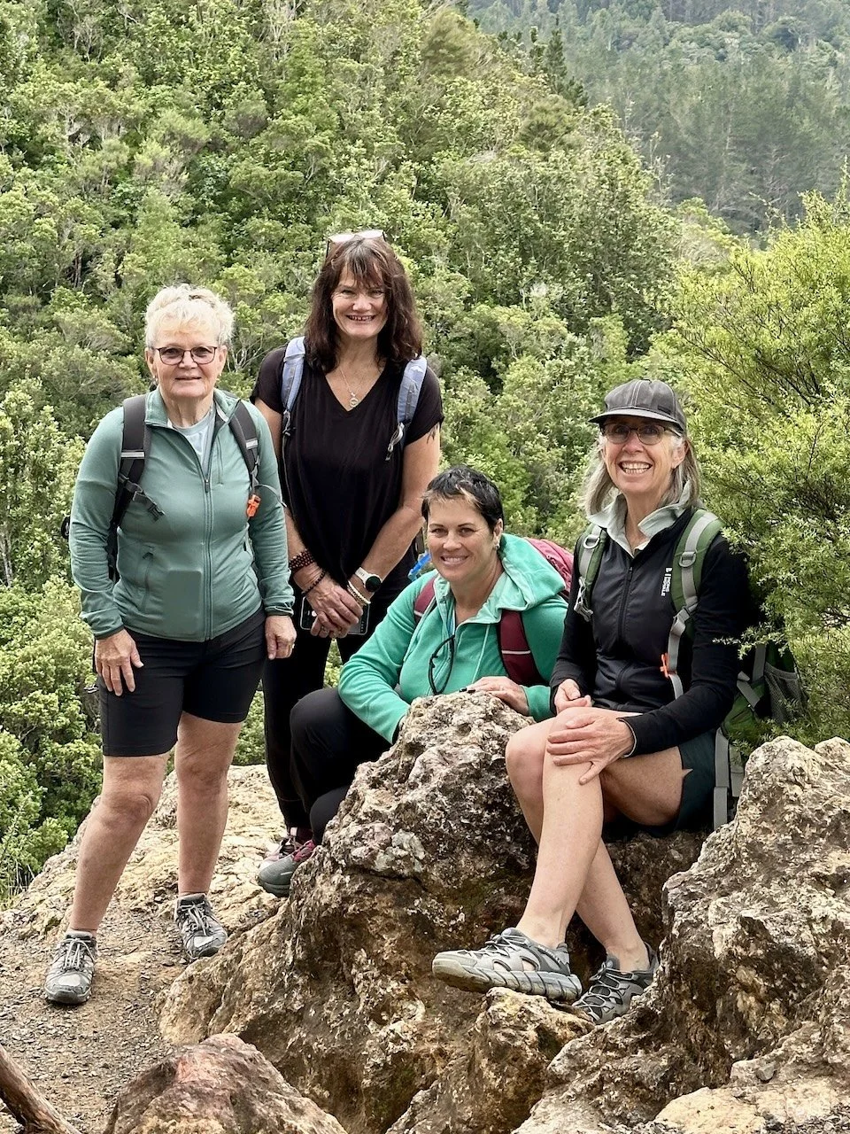 Irene, Karen, Lietta and Sharon at Edward’s Lookout, Kauaeranga Valley. The founding Reset and Recharge Walk, May 2026