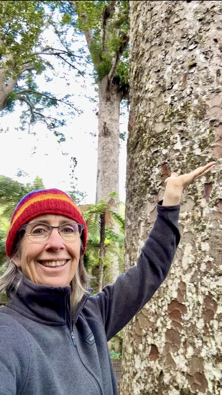 Reset and Recharge Walk - Founding Group