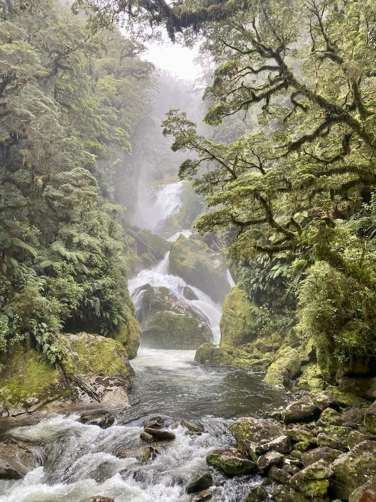 Mackay Falls in full flow, Milford Track, Fiordland National Park, New Zealand Great Walk