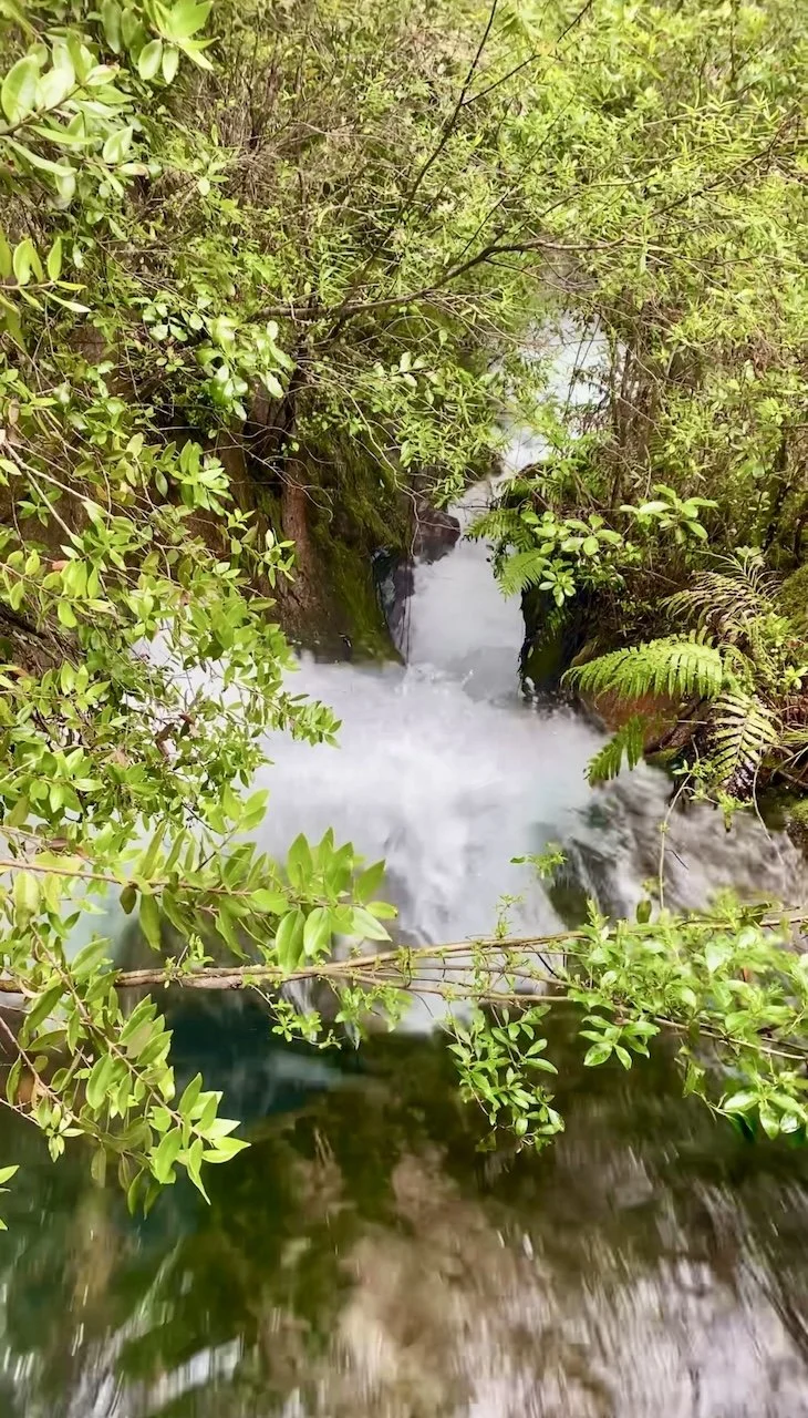 Cascading falls in the Tarawera River