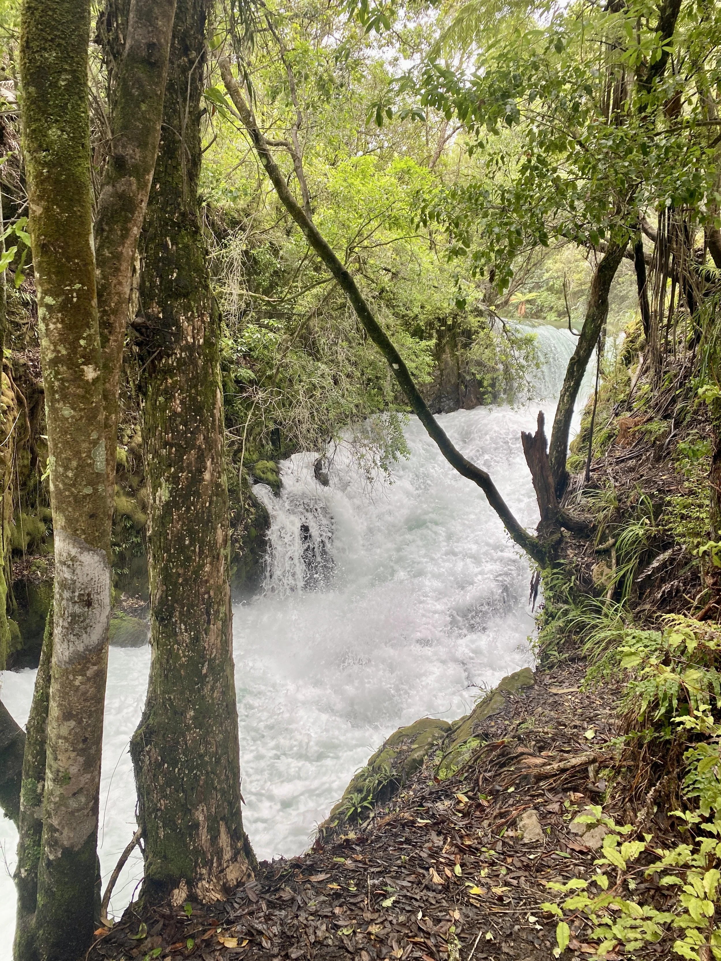 Cascading falls on Tarawera River