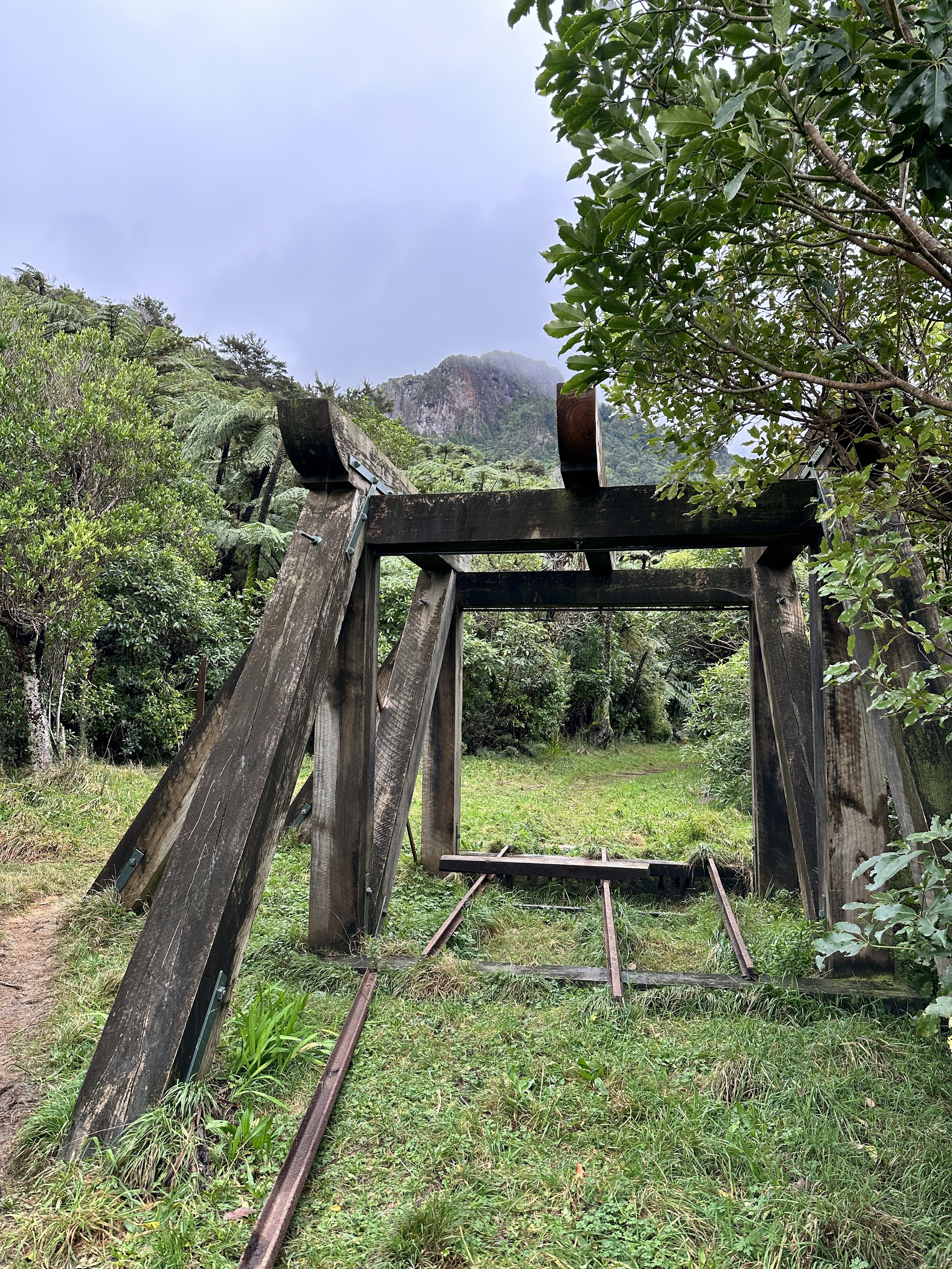 The Piako County Tramway, one of New Zealand's oldest bush tramways, Waiorongomai Valley