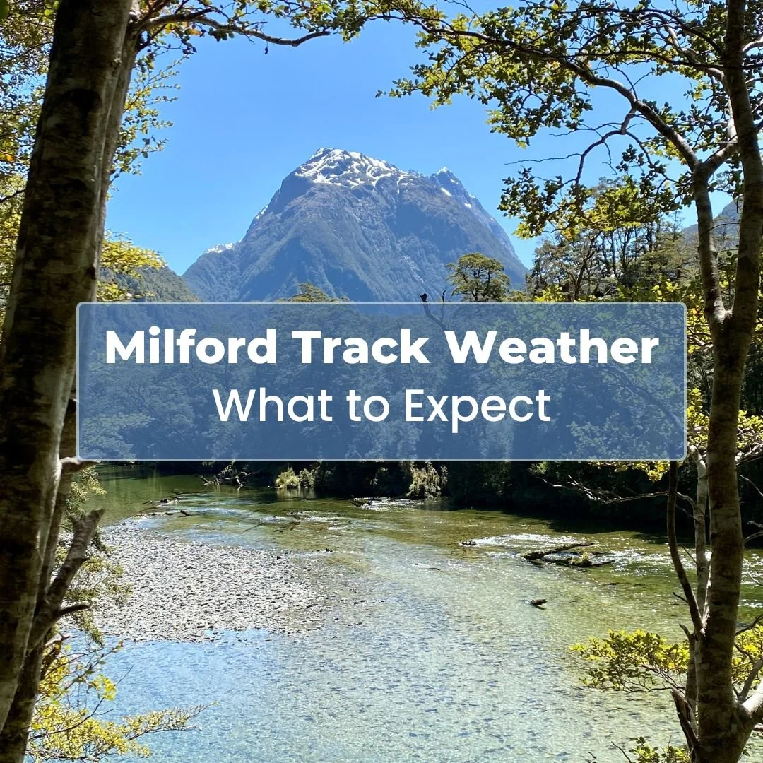 Milford Track Weather: What to Expect in Every Month of the Great Walk Season