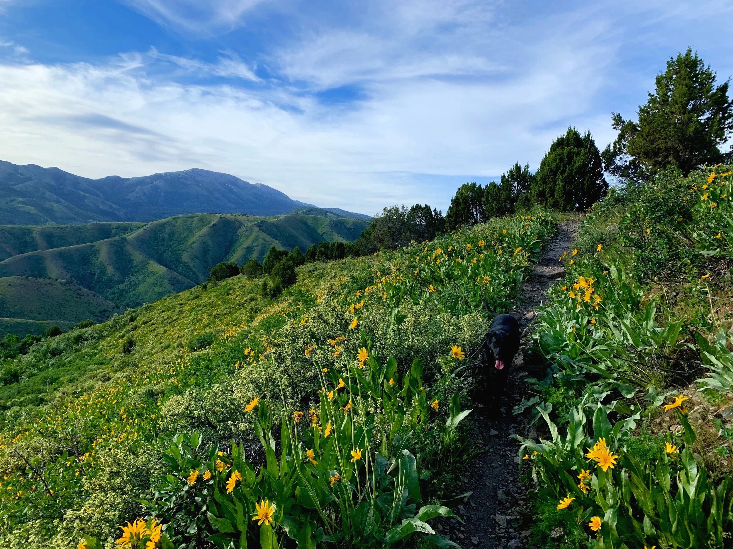 The one where we talk about fueling our life force instead of fitting into our pants