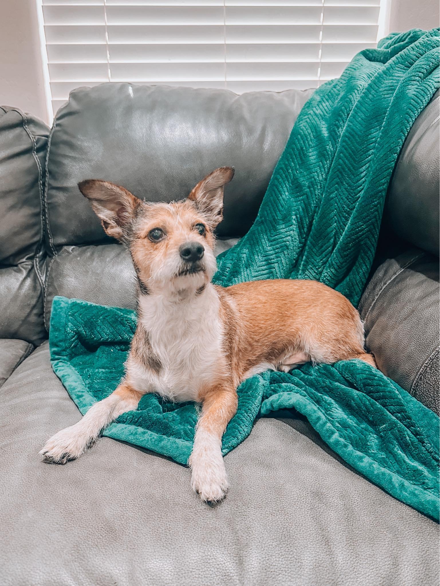 MILO