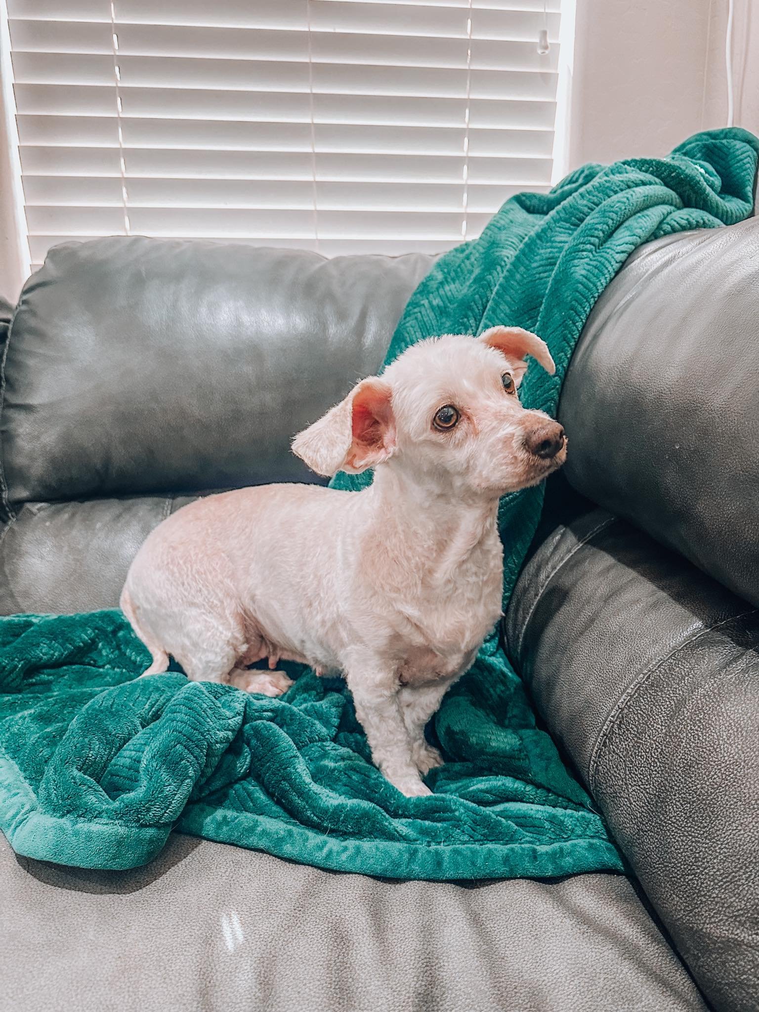SHYLO