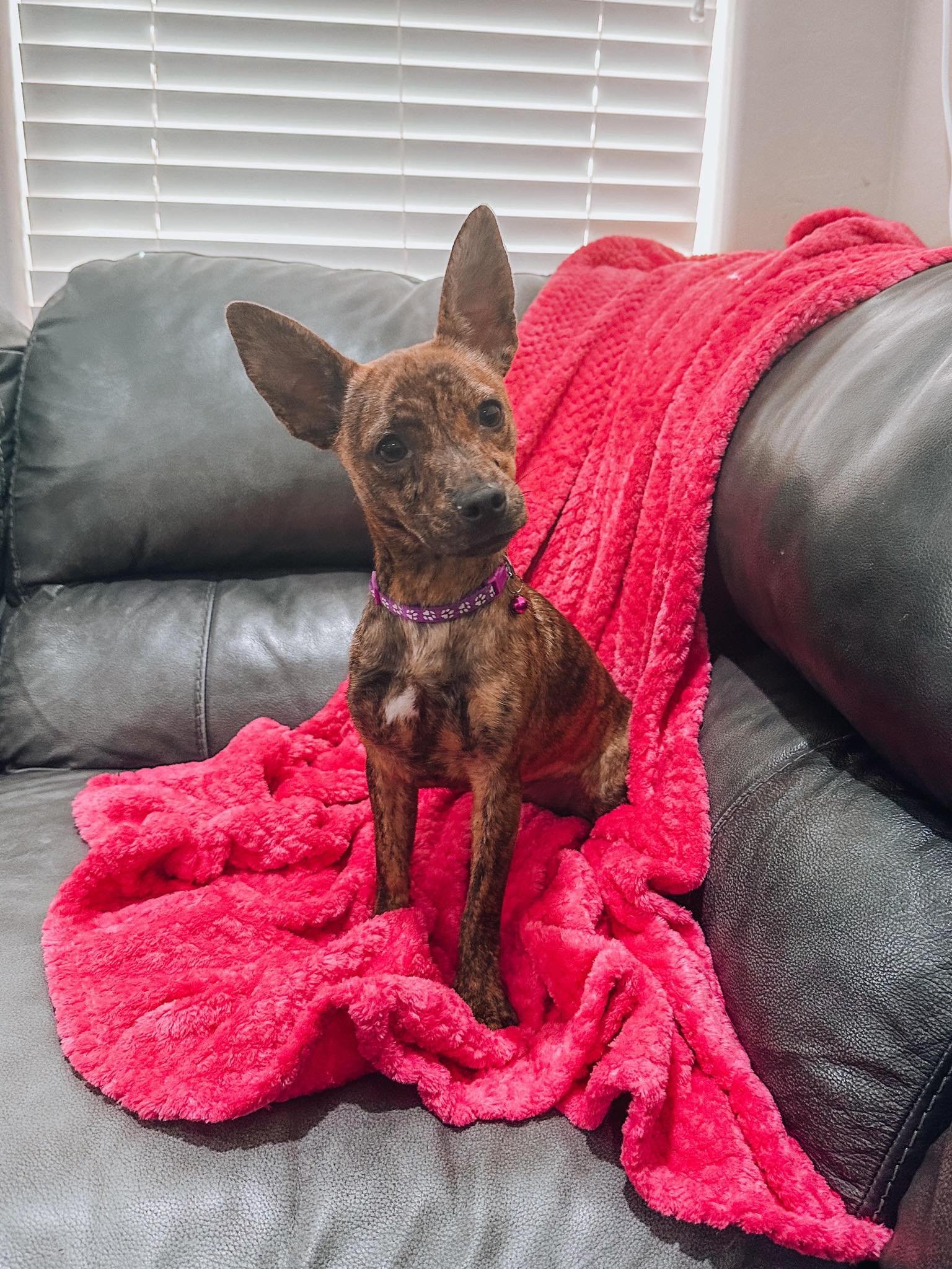 COCO