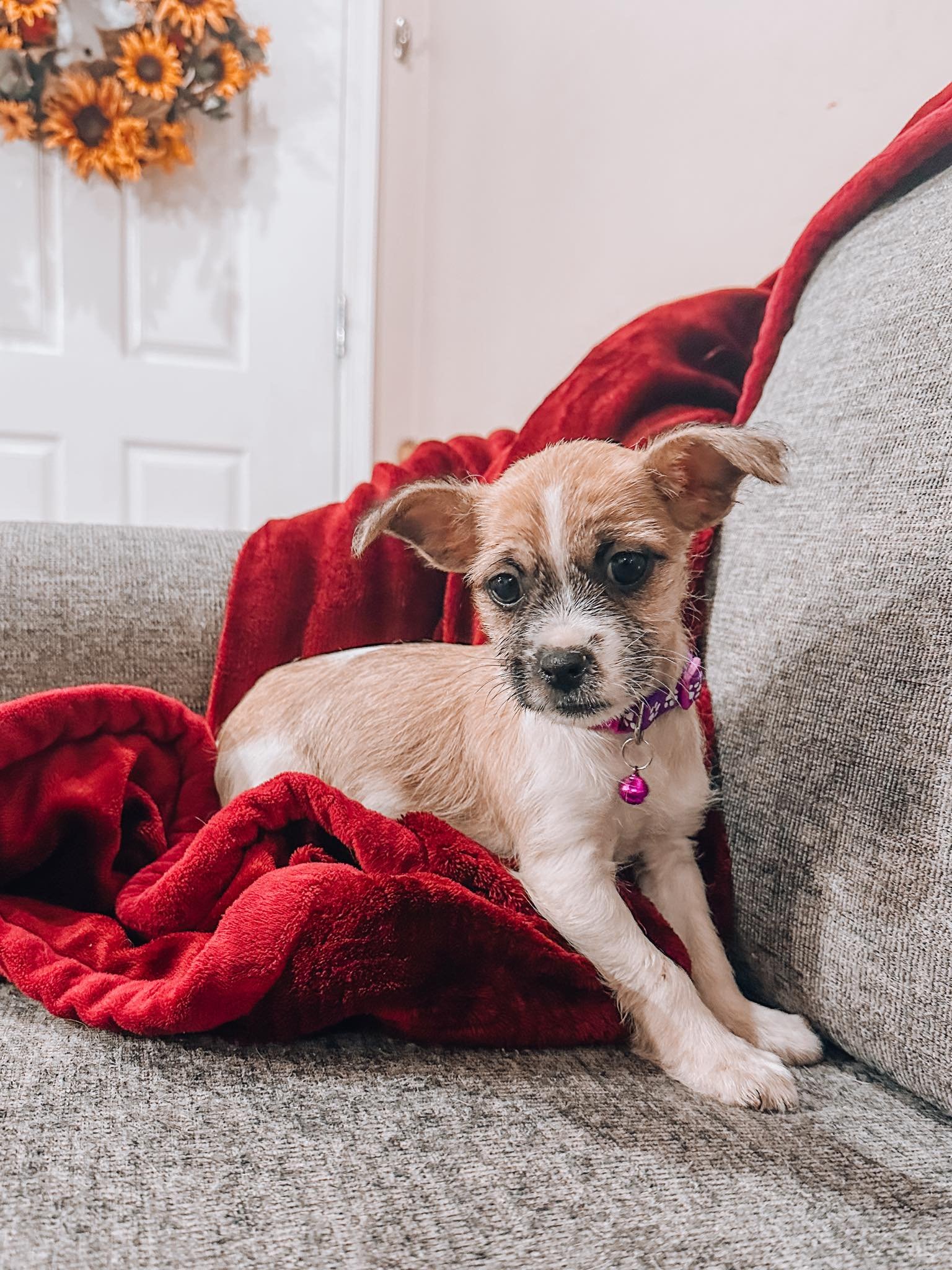 WINIFRED