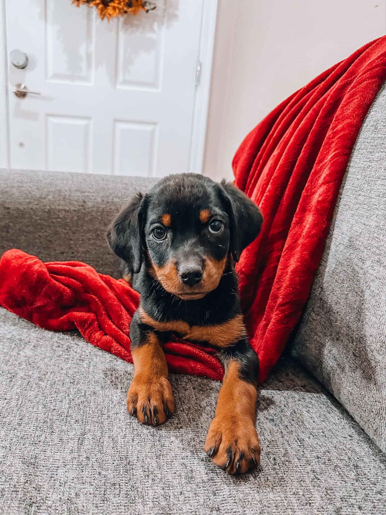 SAMMY