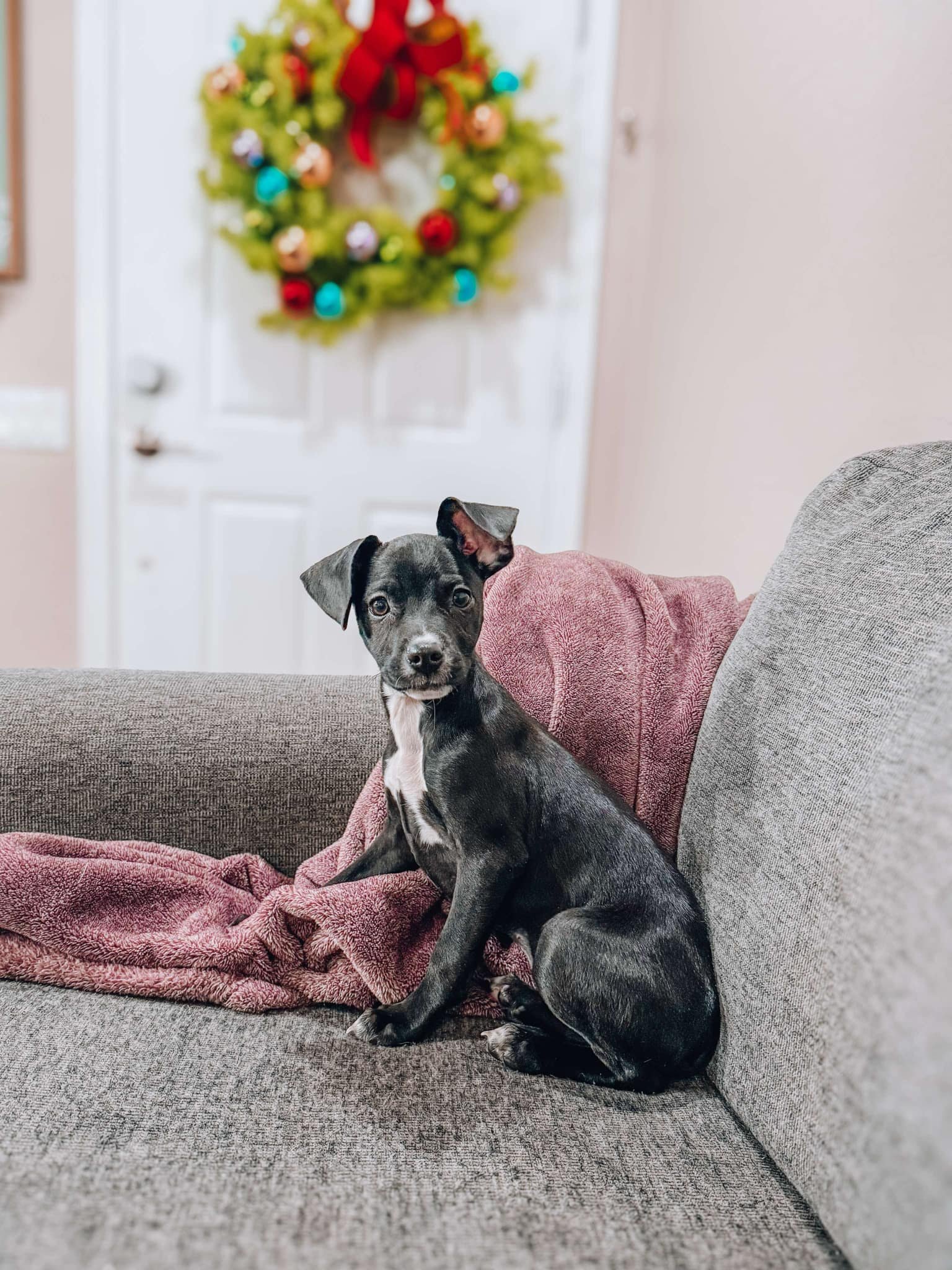 ELSA