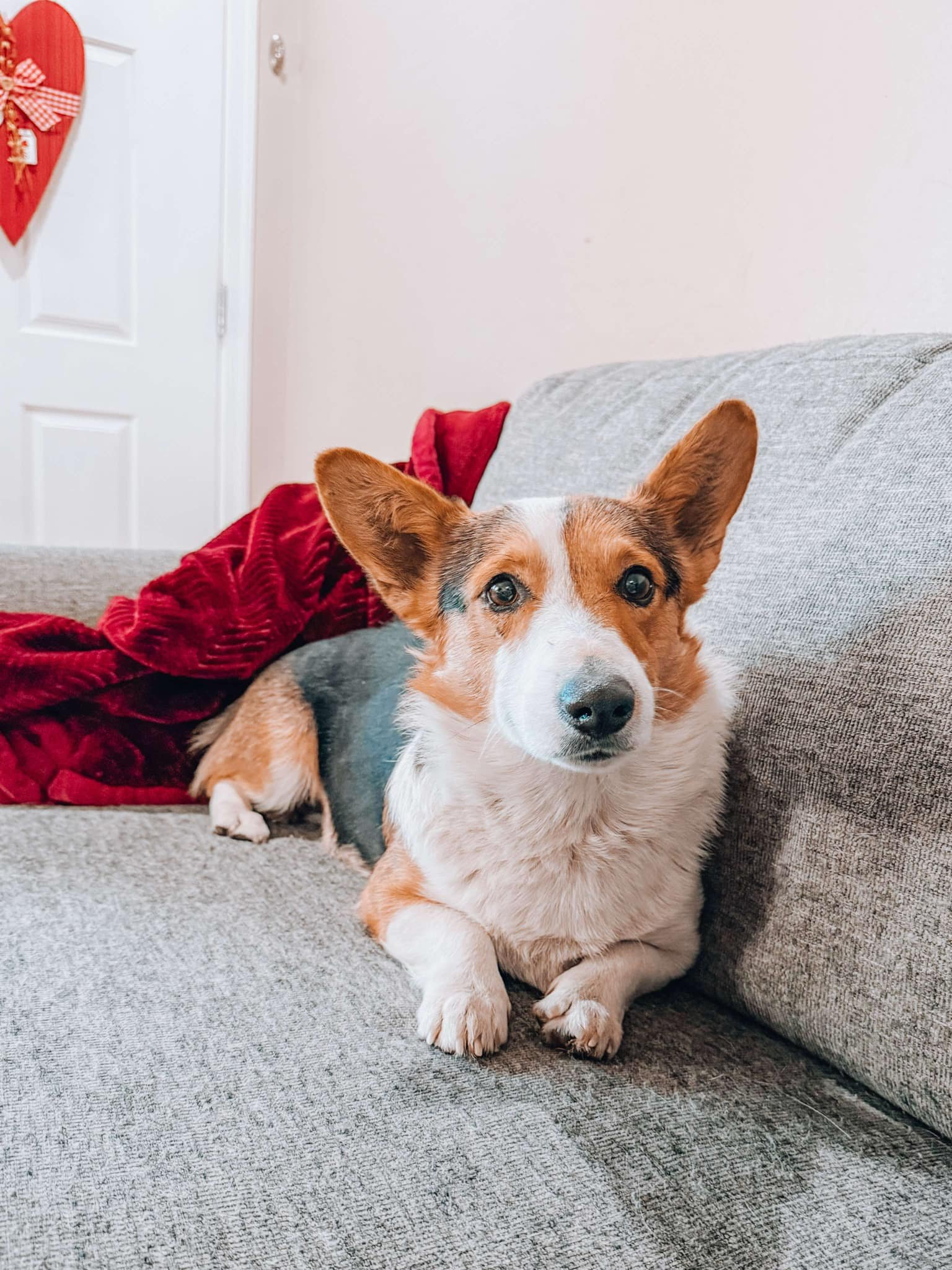 SIR WIGGLEBUTT