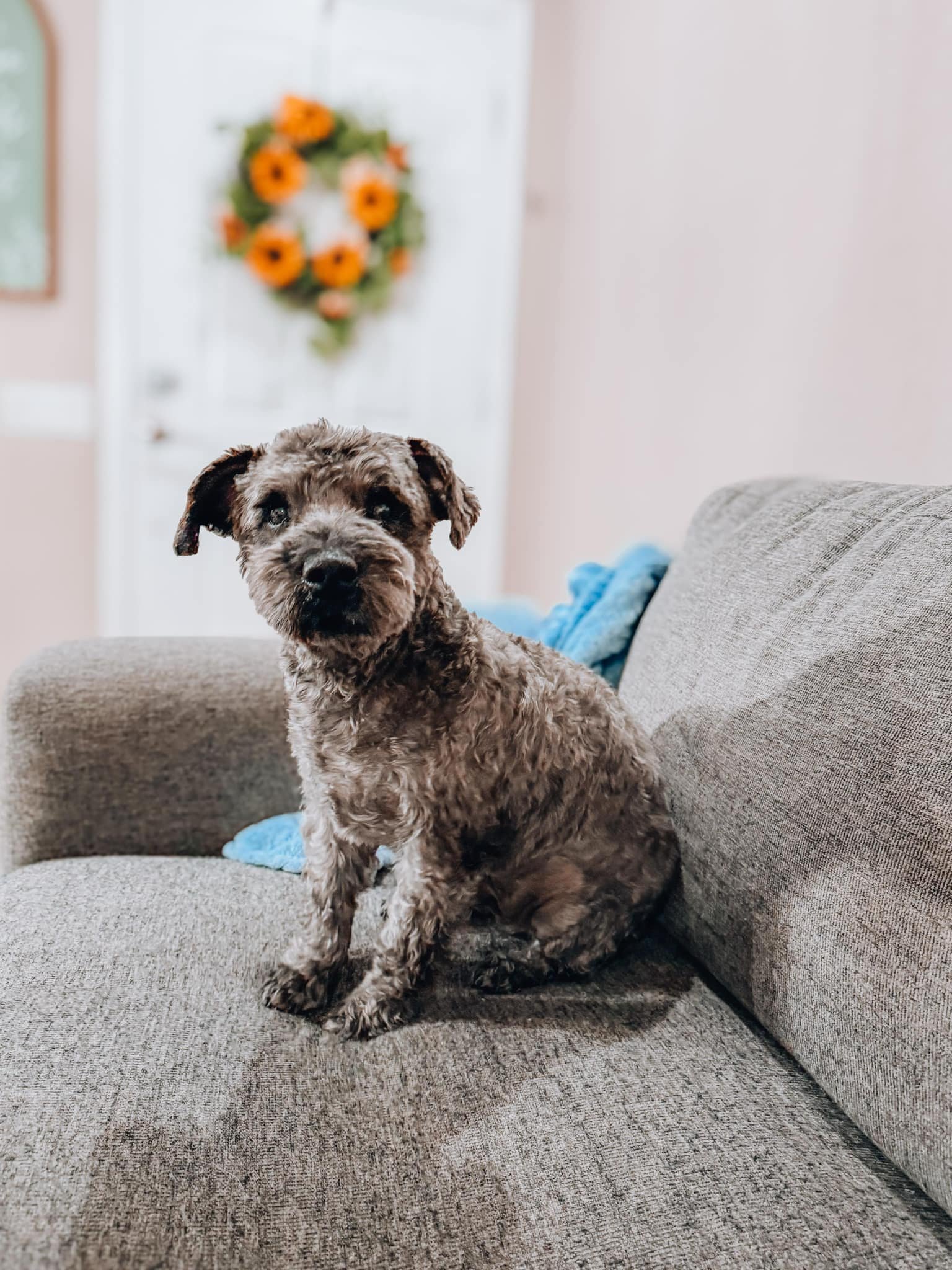 SAM