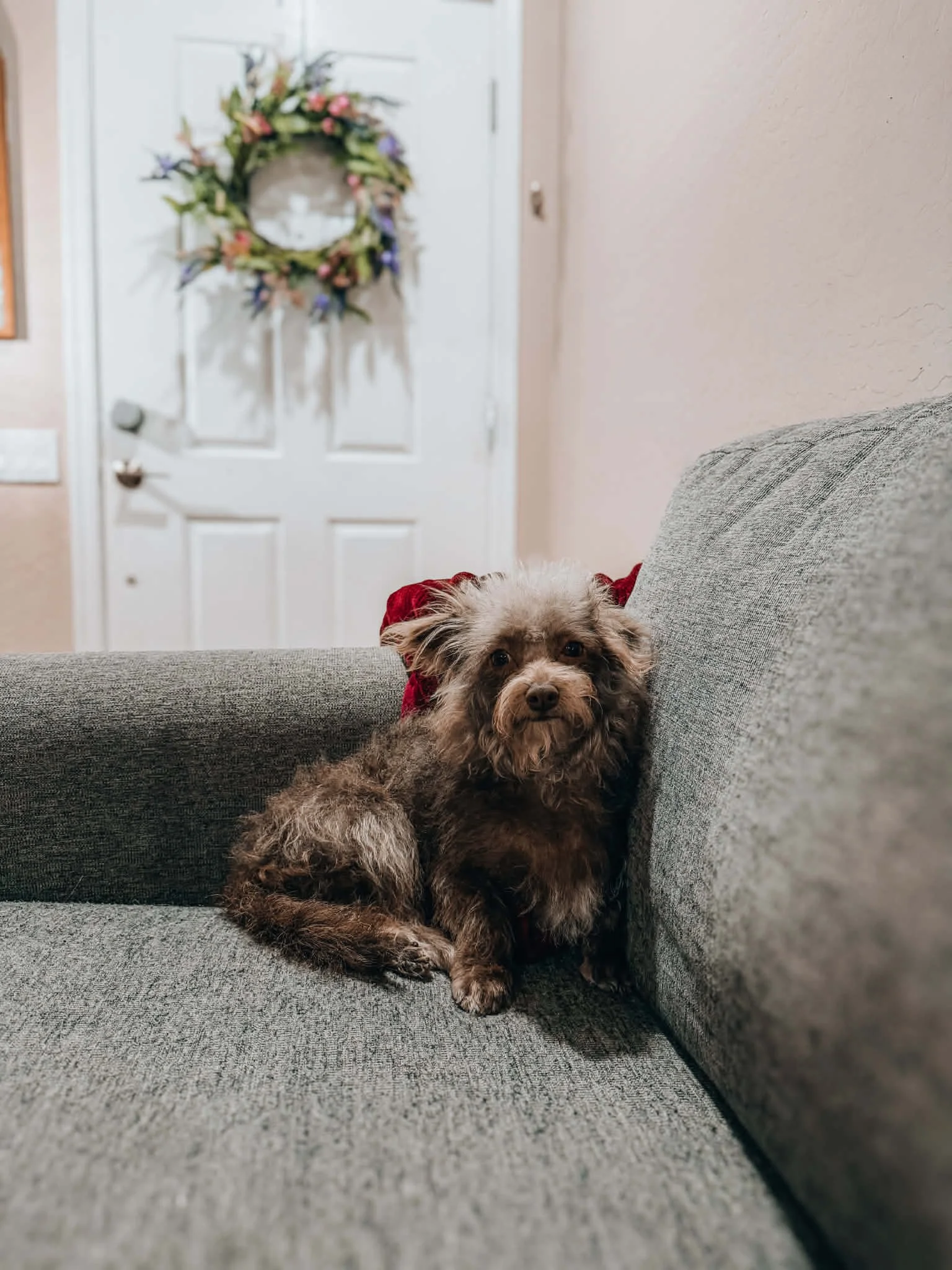 Coco
