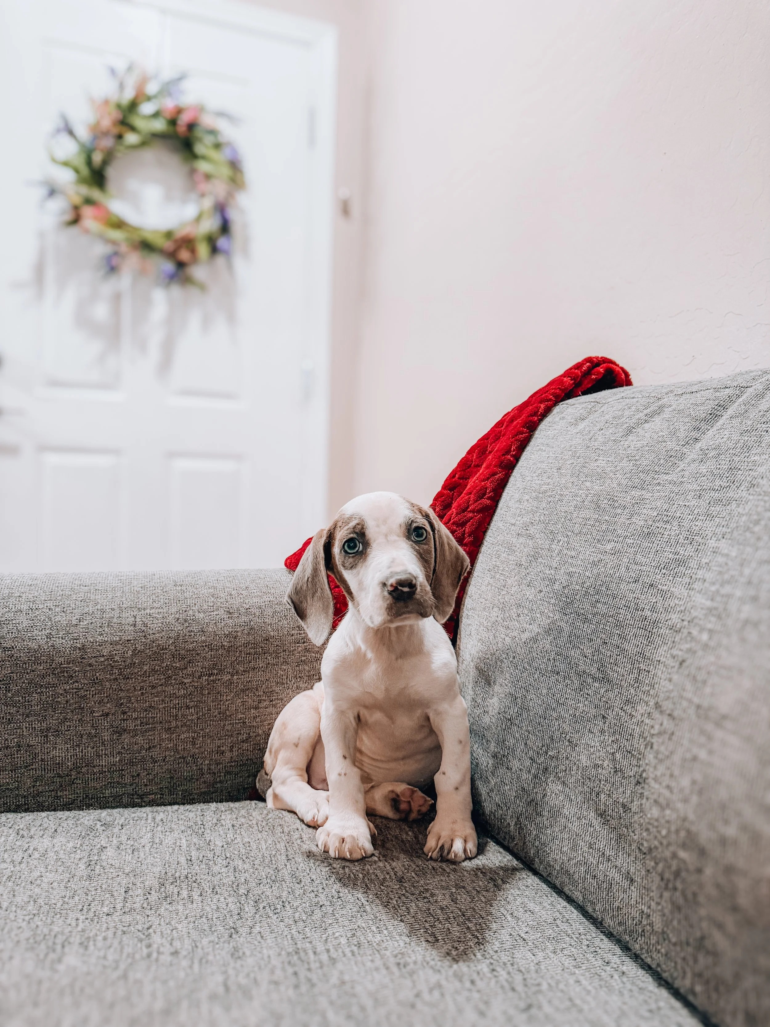 DELILAH