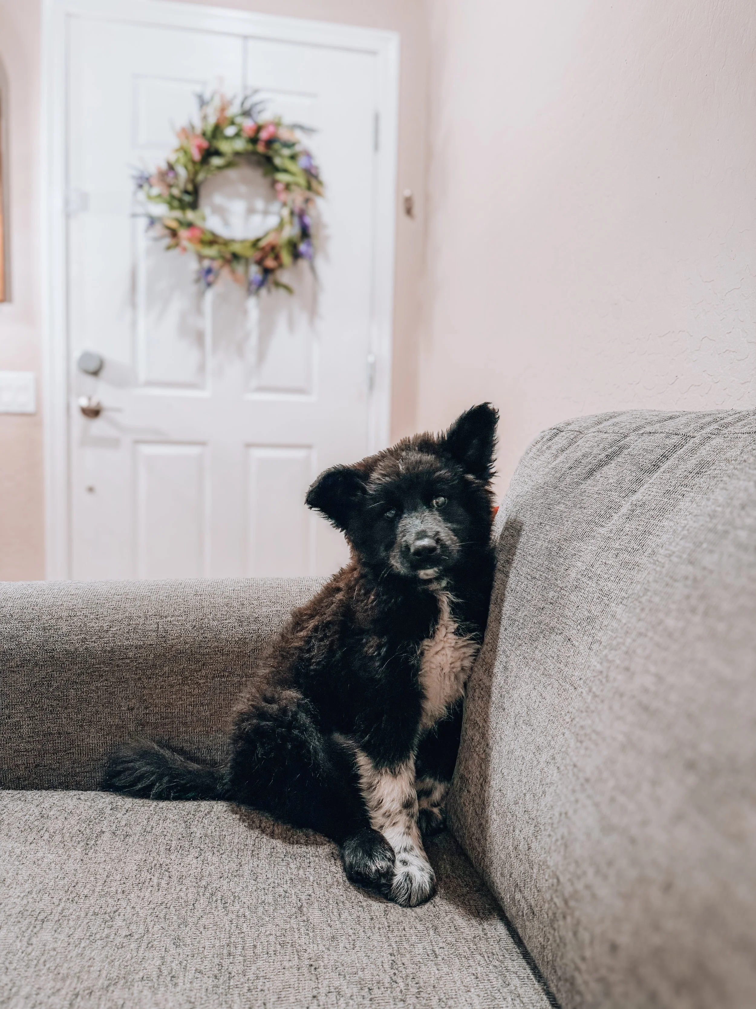 KIKI