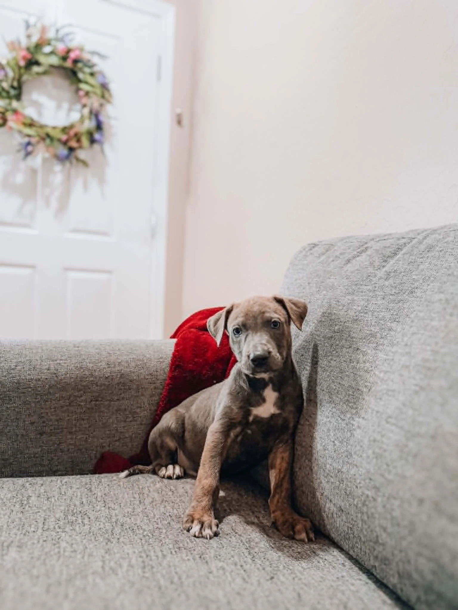 LEVI