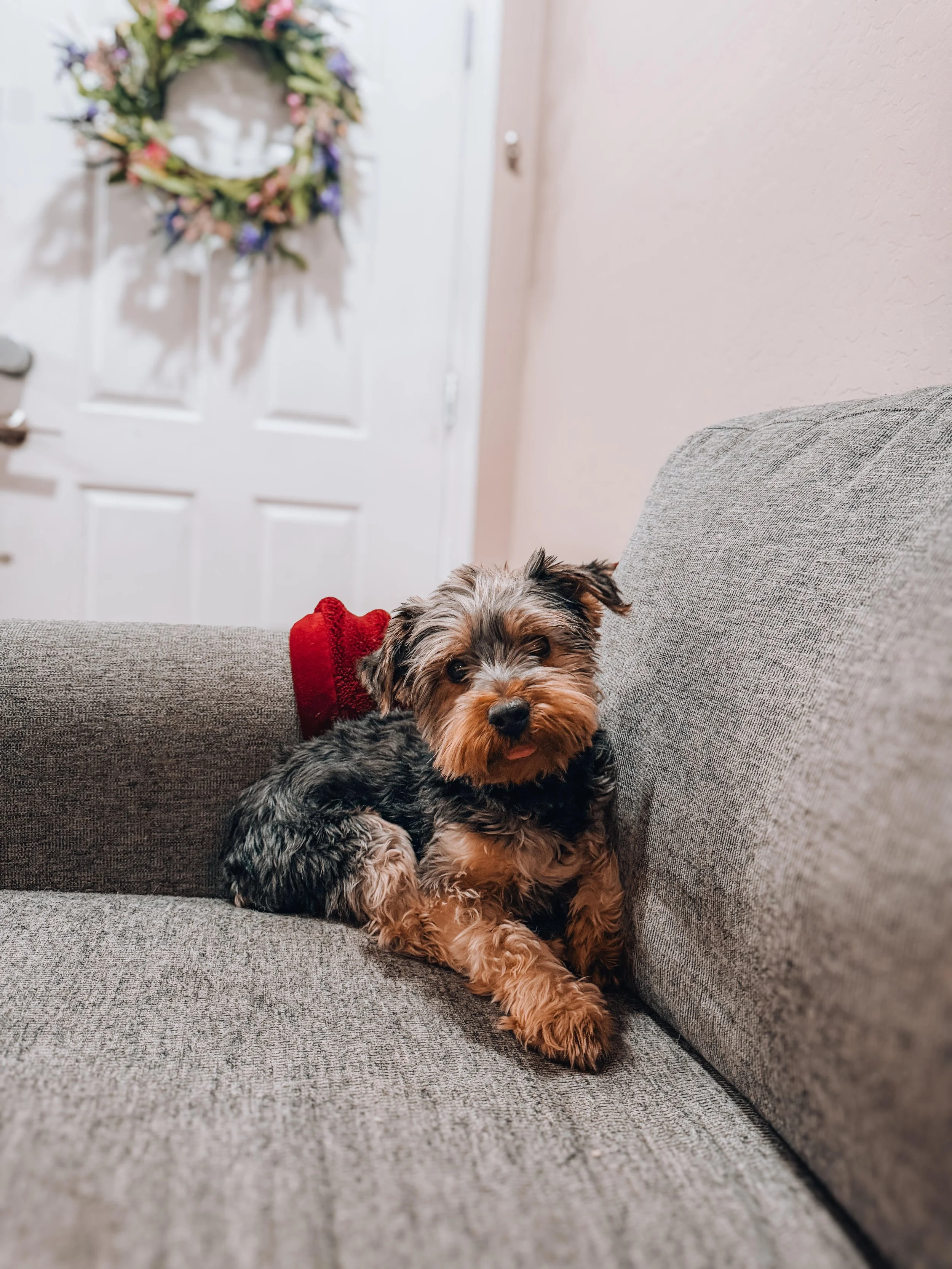 MILO