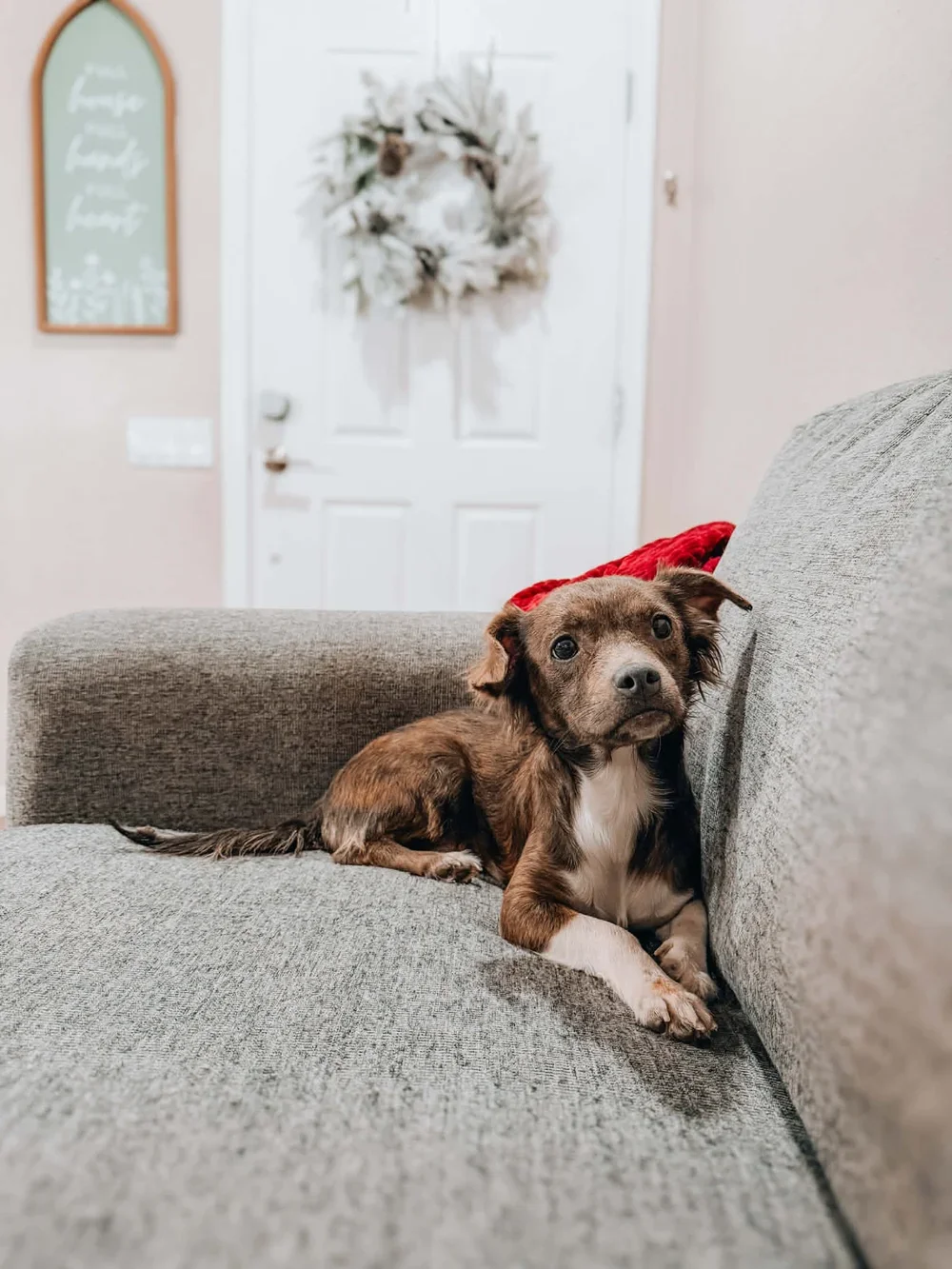CHARLIE GIRL