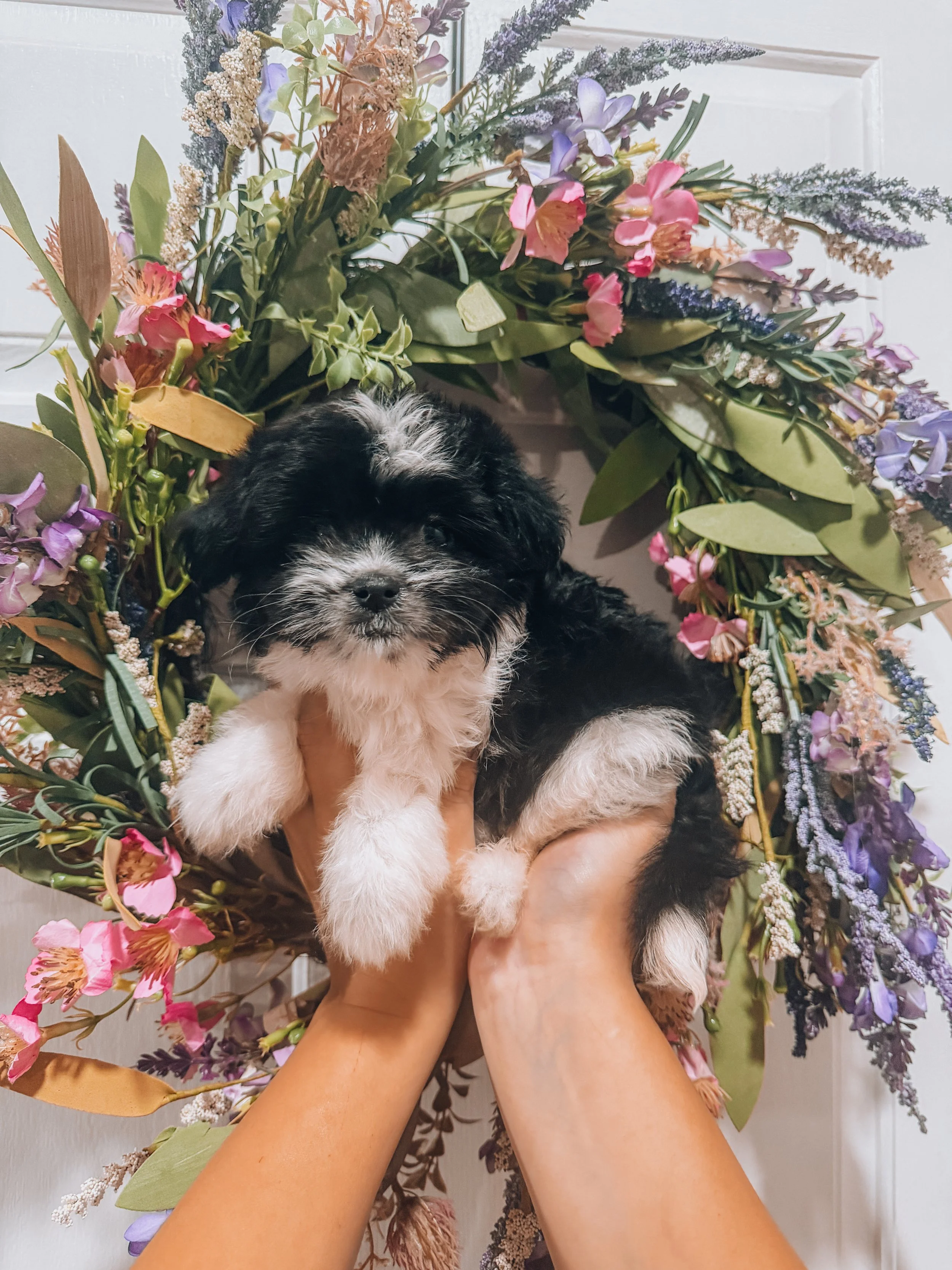 LILO