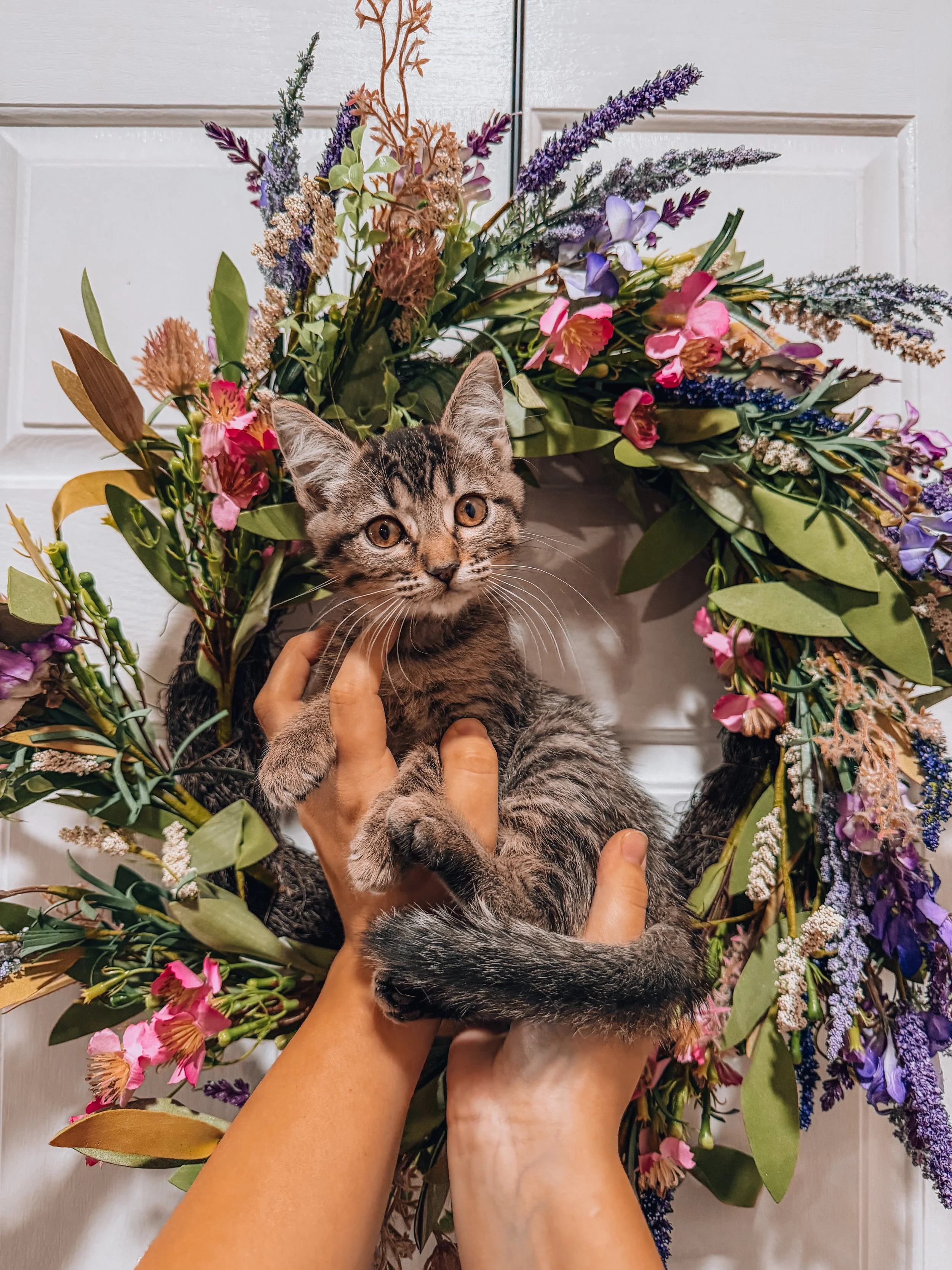 WILLOW
