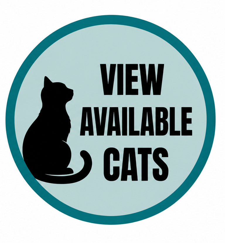 view_available_cats (1).png