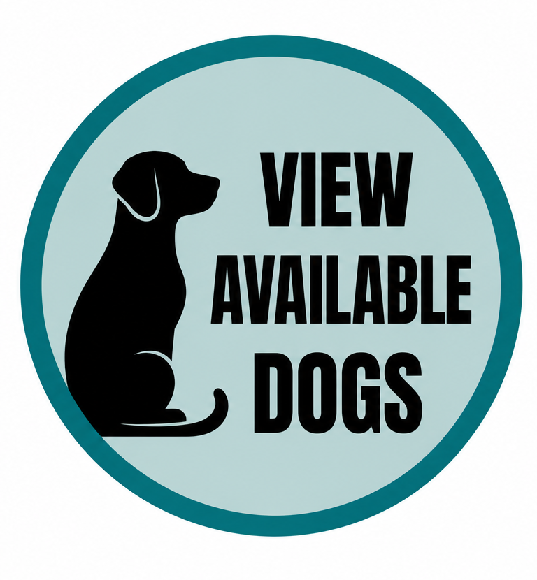 view_available_dogs.png
