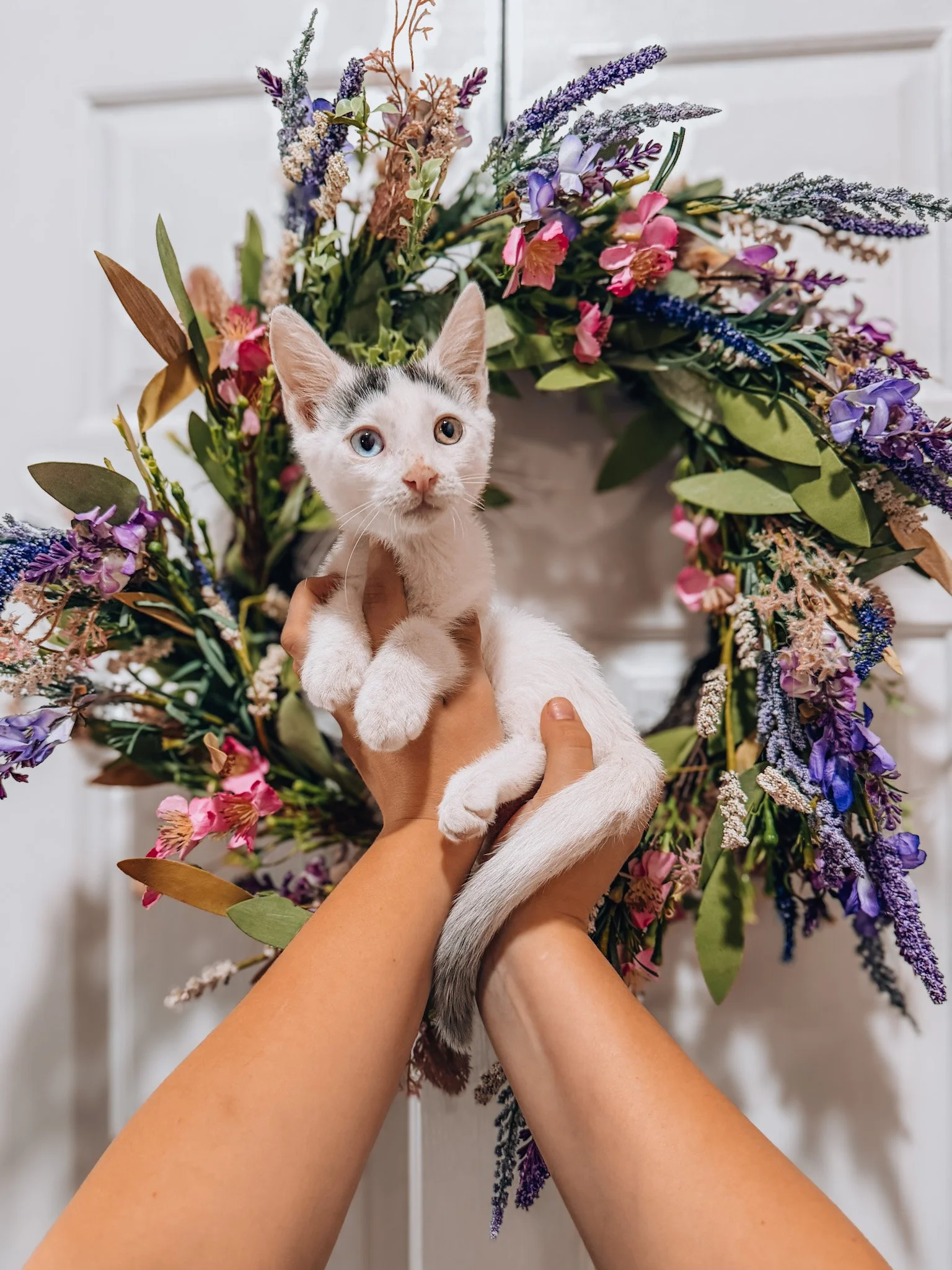 BOWIE