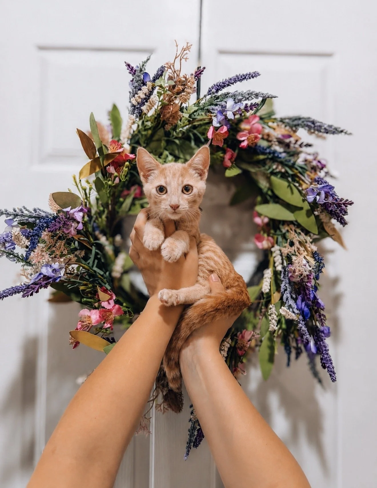 WILLOW