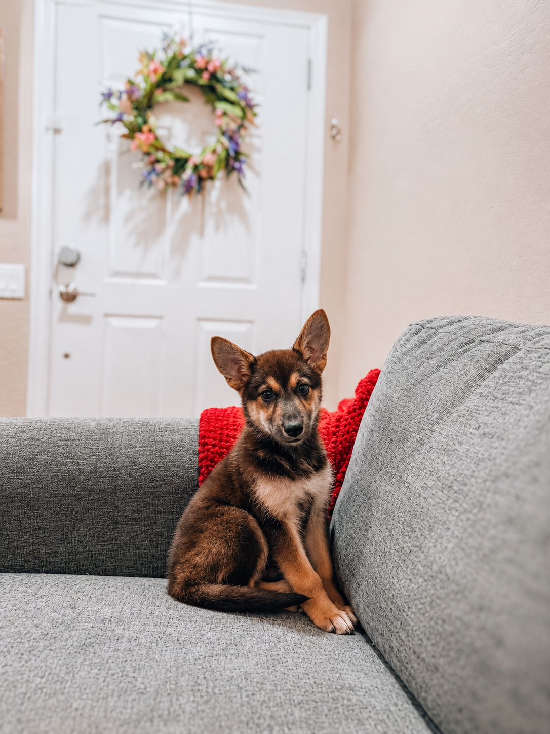 LYLA
