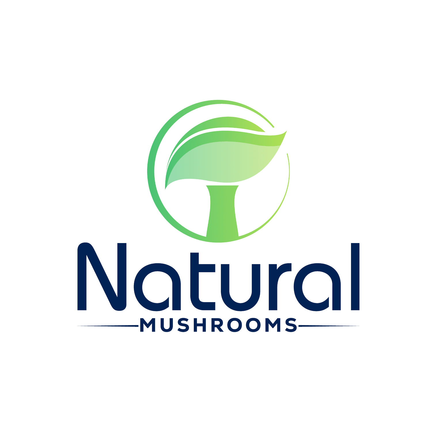 Mushroom Extract Safety and Side Effects — Mushroom Extract Powders