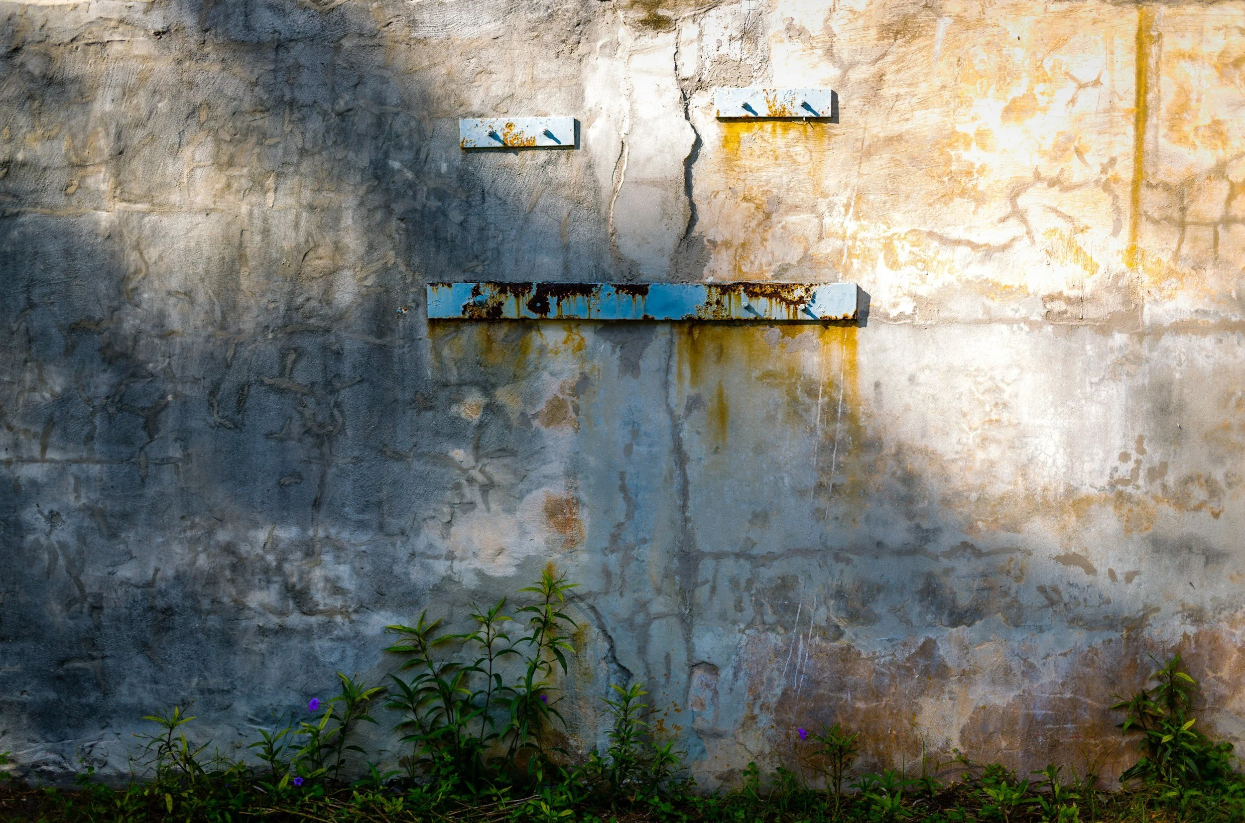 Weathered concrete wall with rusted, painted metal brackets mounted on it. Some small green plants with purple flowers are growing at the base, and sunlight casts shadows on the wall.