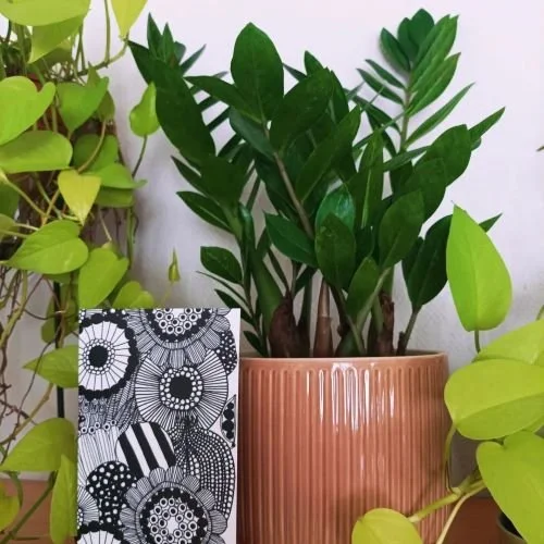 Toiminnanjohtajavaihdos yhdistyksessämme