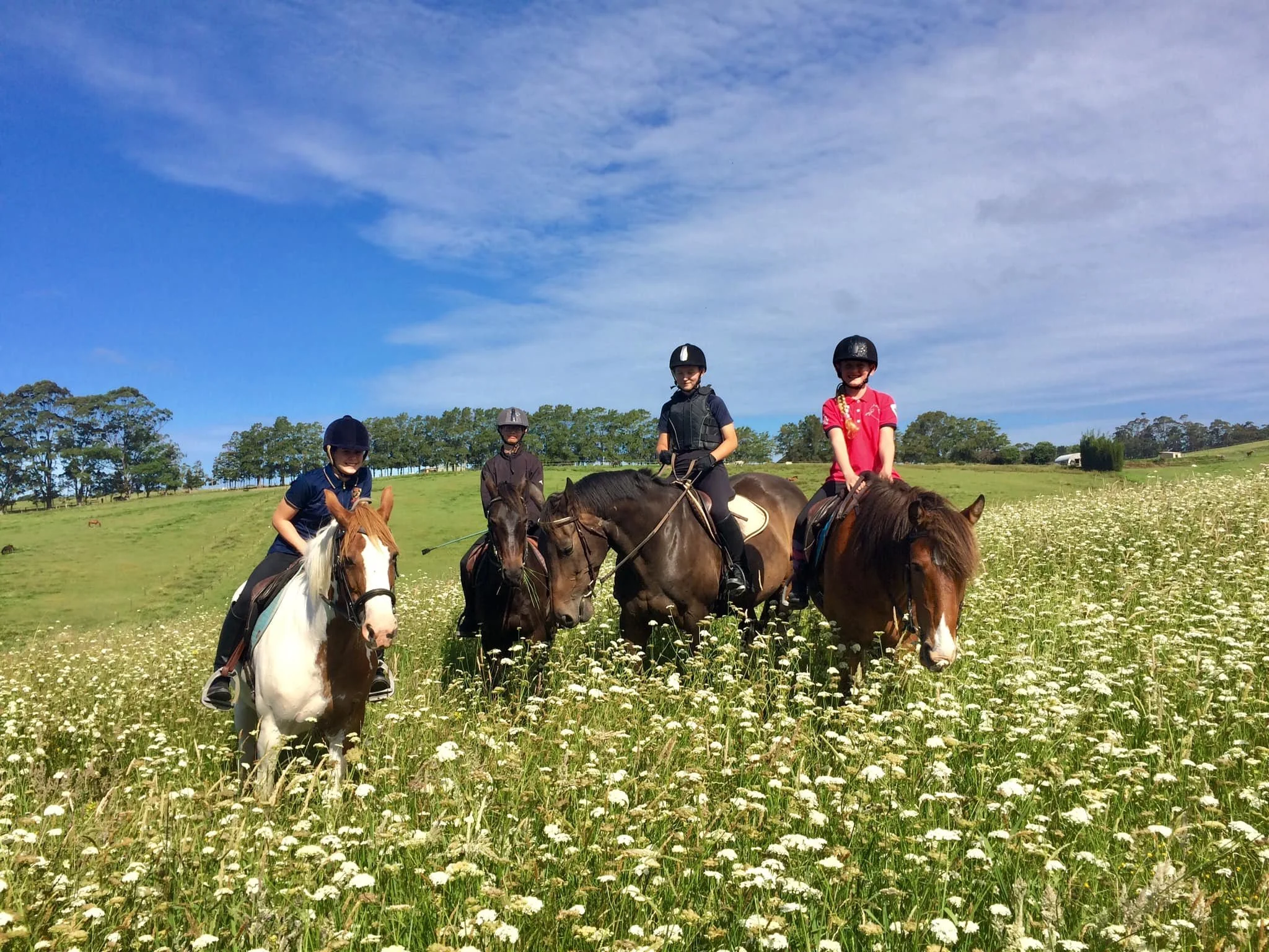 Kates Riding Centre — Redcliffs Equestrian