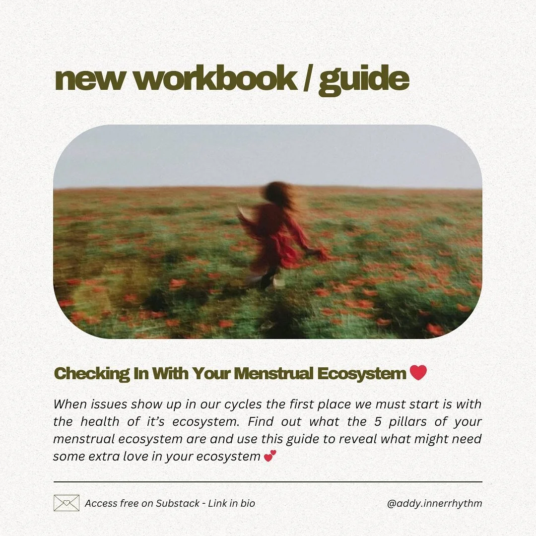 ❤️ NEW Workbook ~ Out Tomorrow! ❤️

Oh have I got a good one for you this month!

The absolute foundations of nourishing your menstrual cycle is to start with the 5 pillars of your menstrual ecosystem.

Think of your menstrual cycle as a mini ecosyst