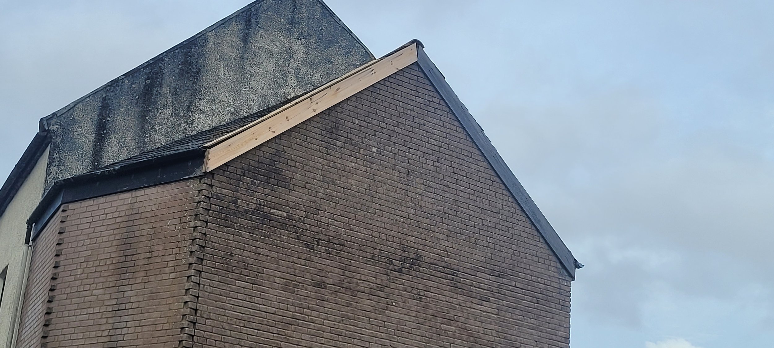 20260415_183556.jpg
