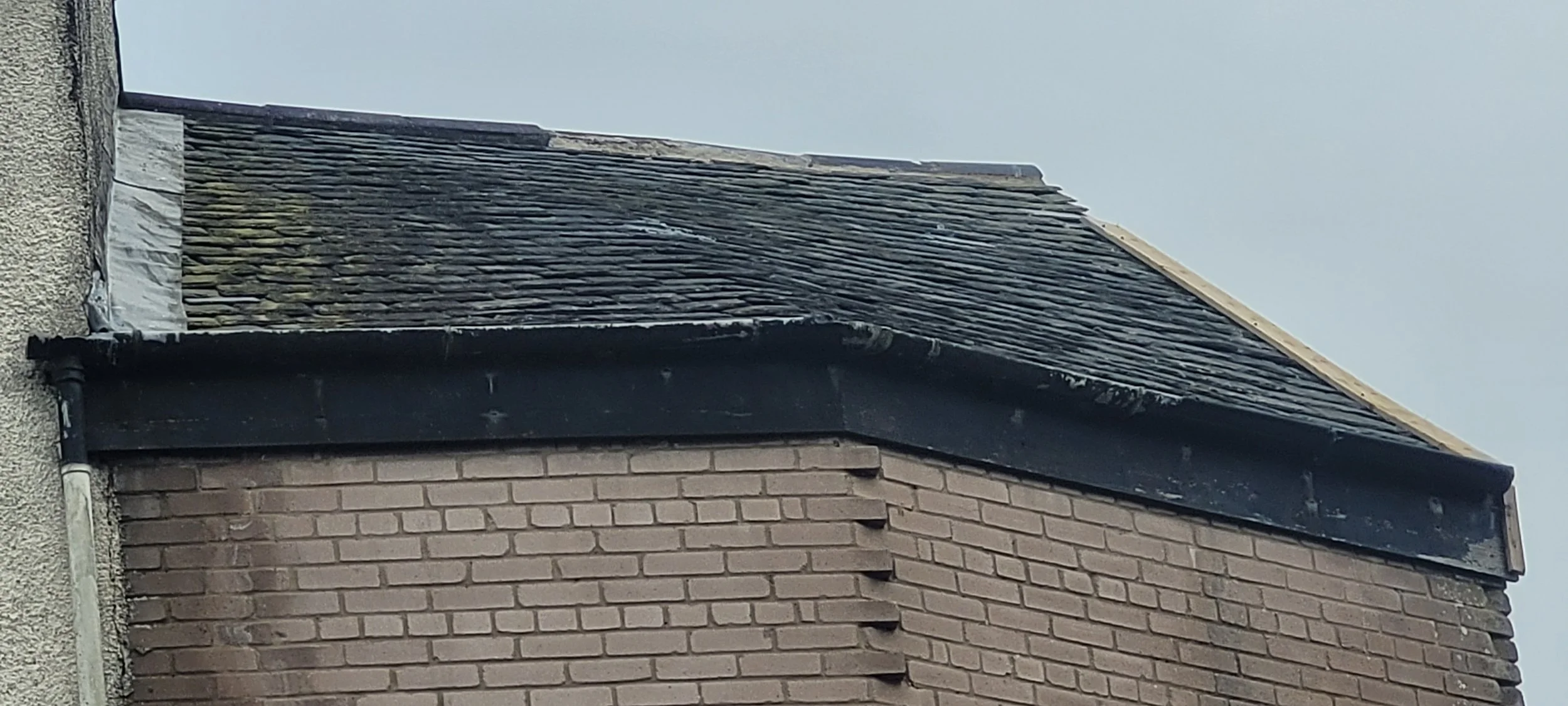 20260415_183702.jpg