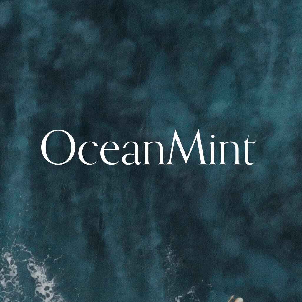 OceanMint channels deliberate, catalytic capital to fund clean, accountable opportunities.

OceanMint delivers on financial, social, and environmental targets by blending low-risk with early-stage investments.

OceanMint sets accessible thresholds to