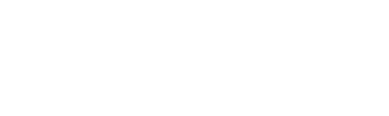 DUZST
