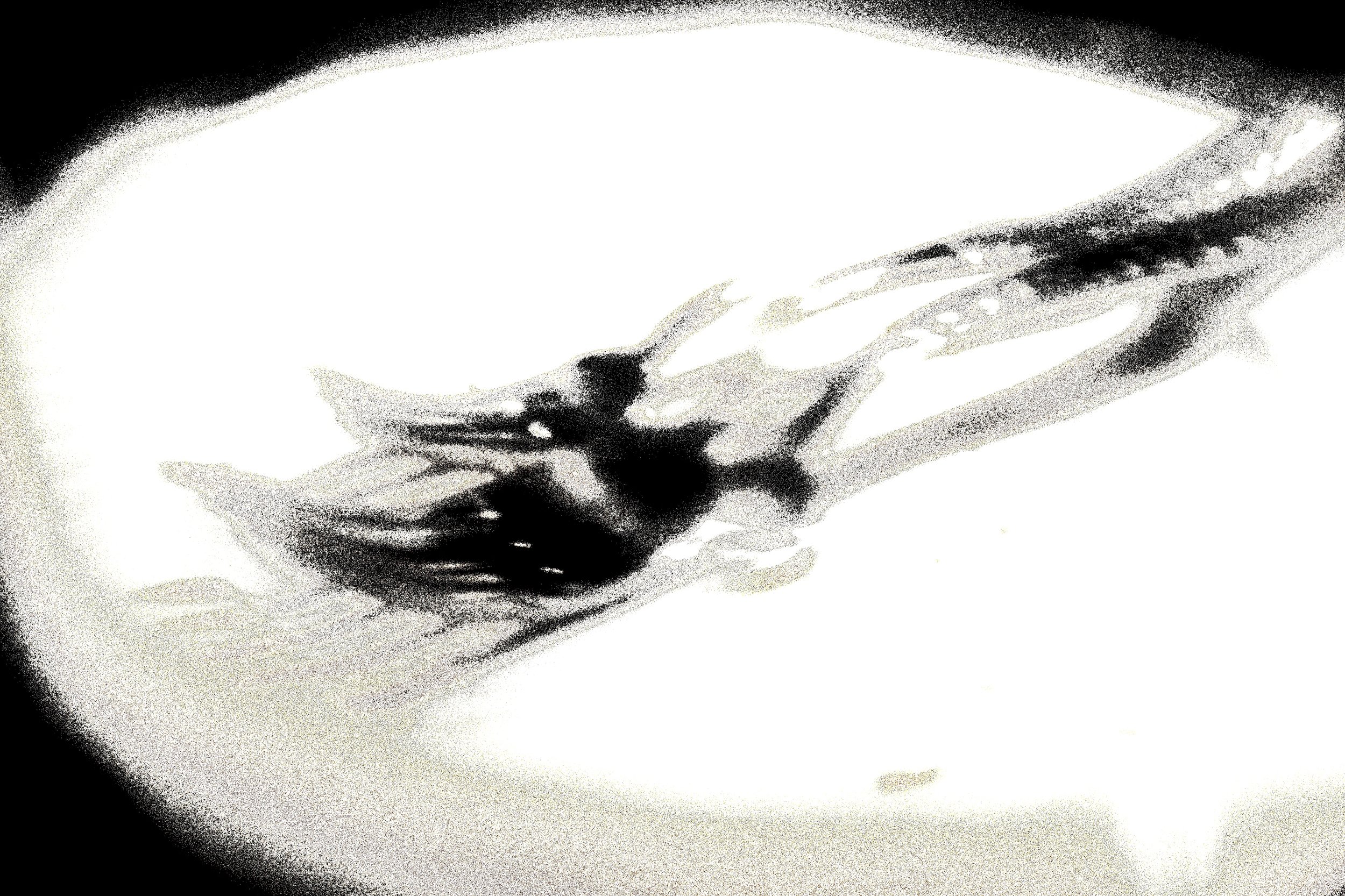 A side of a plate with two forks lying on it. Black background.